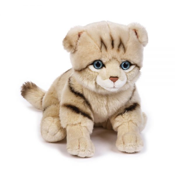 PELUCHE LELLY KITTY GATTO SCOTTISH