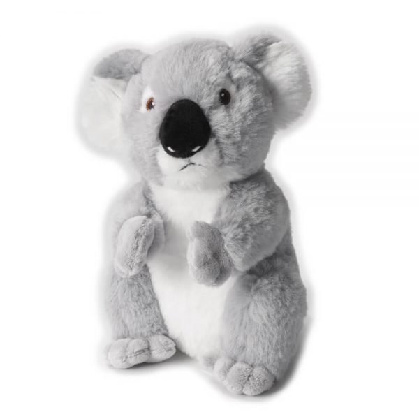 Holly, la peluche koala